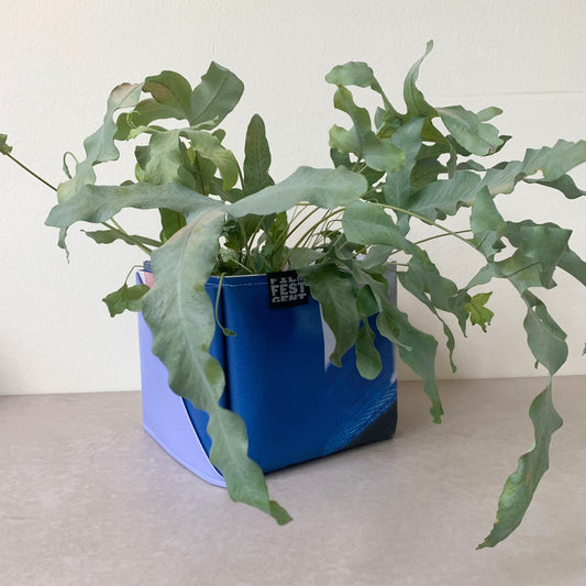 Master Gardener Pot