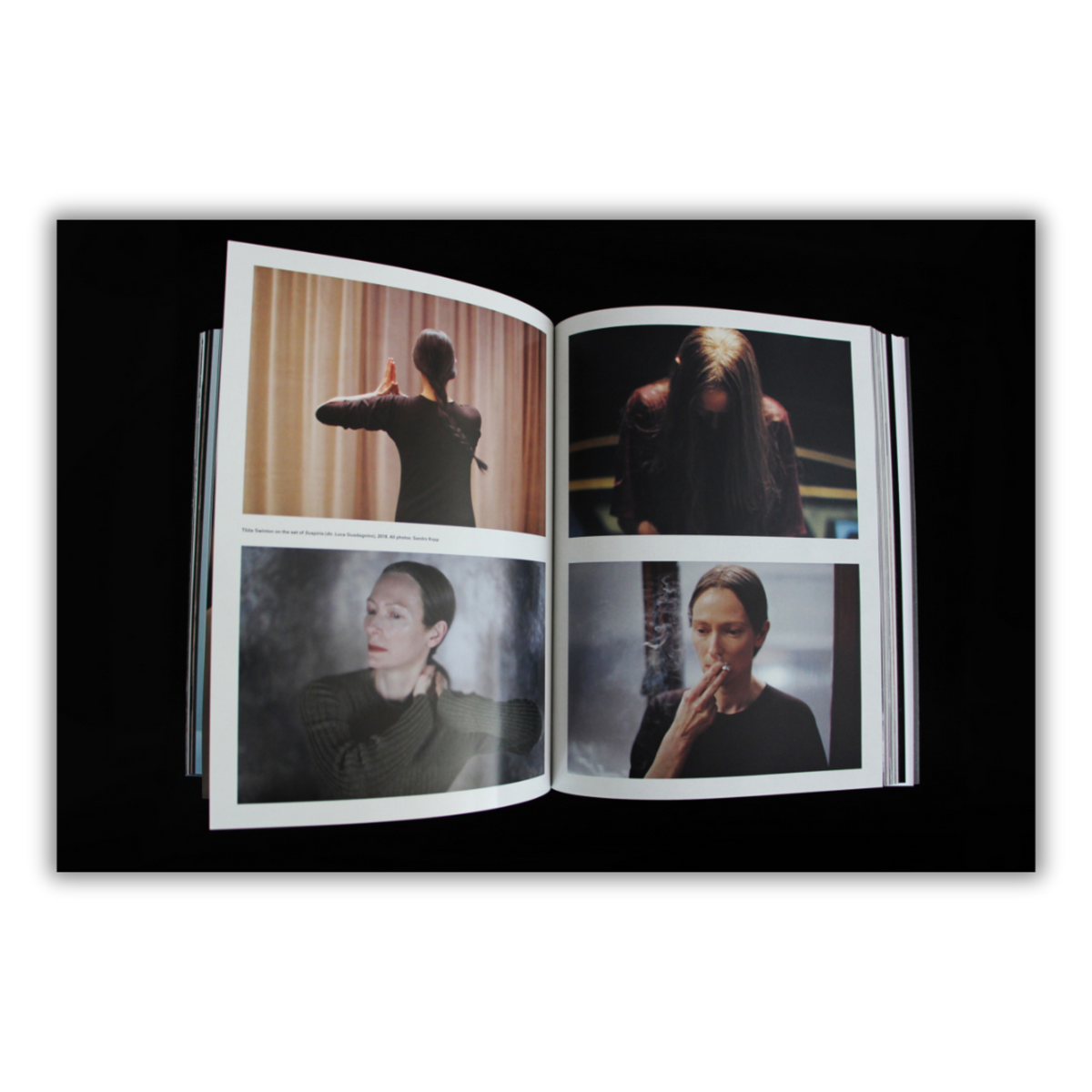 Tilda Swinton - Ongoing