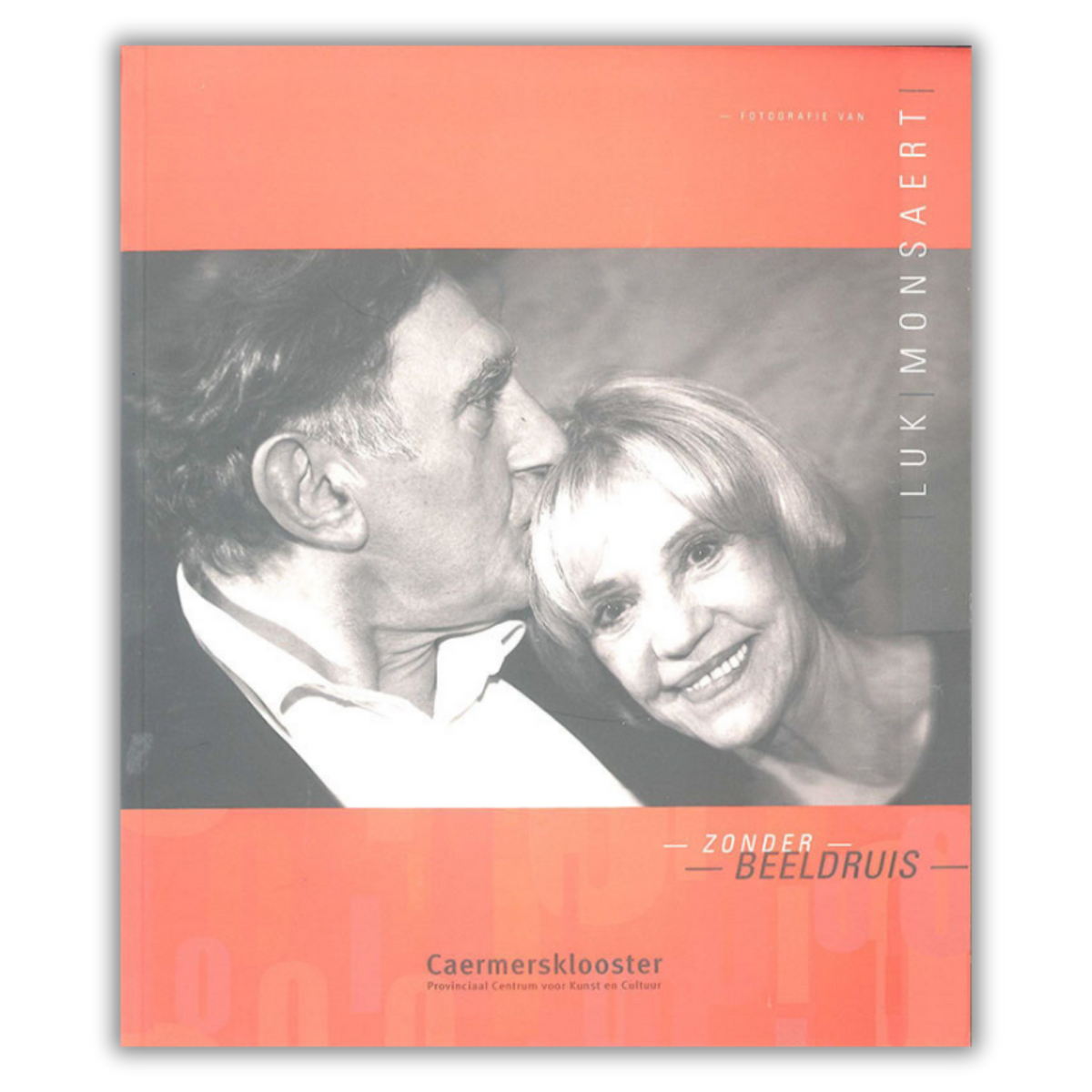 Zonder Beeldruis book cover