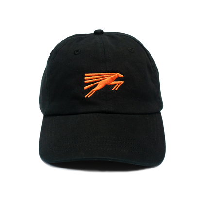 Film Fest Gent Cap