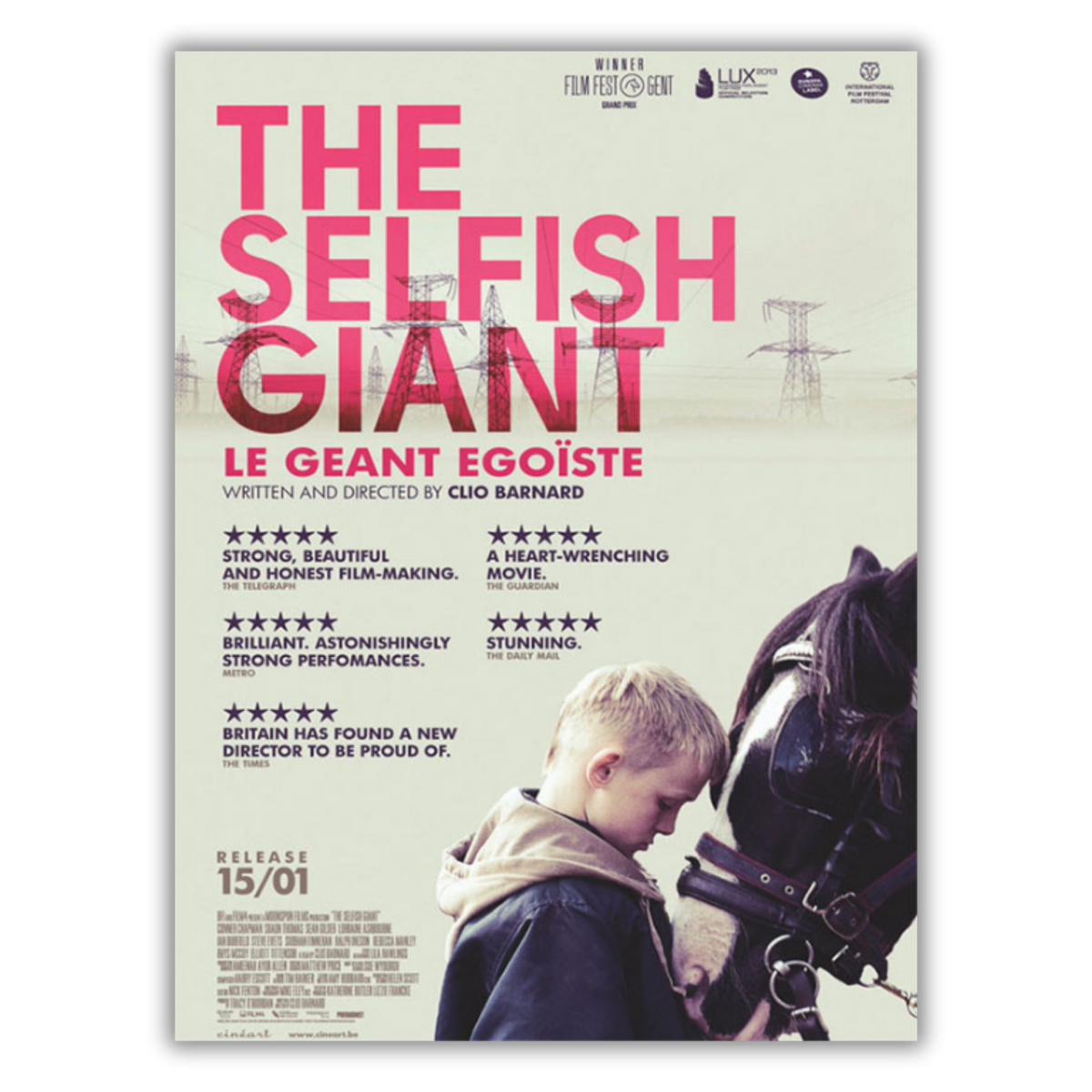 The Selfish Giant DVD